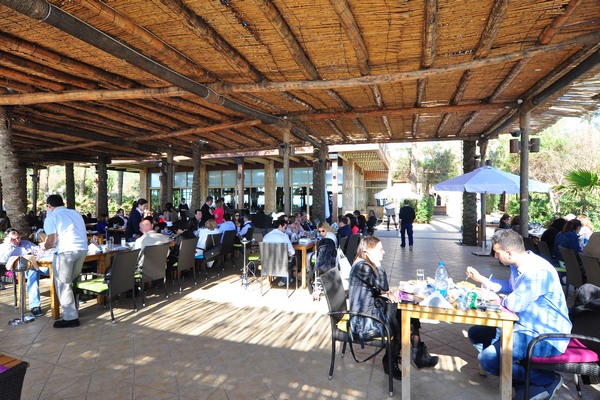 Palm Sunday At Edde Sands